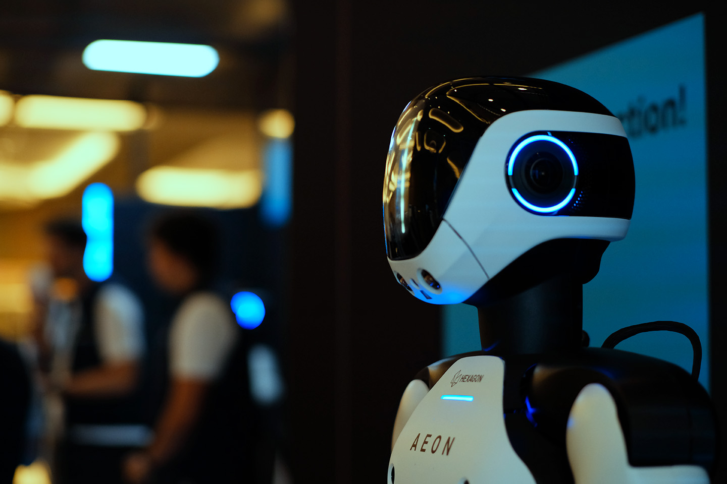 humanoid robot